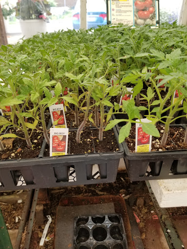 Florist «Lyndhurst Florist», reviews and photos, 5268 Mayfield Rd, Lyndhurst, OH 44124, USA