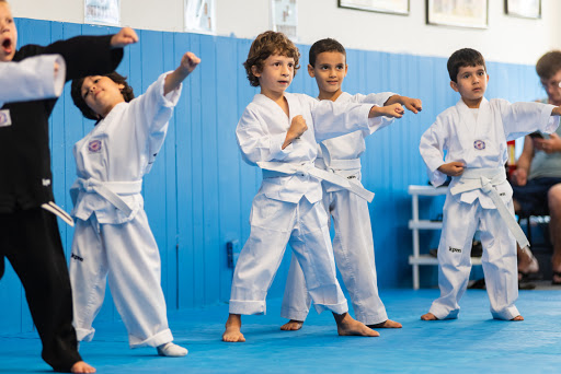 Clases karate Chicago
