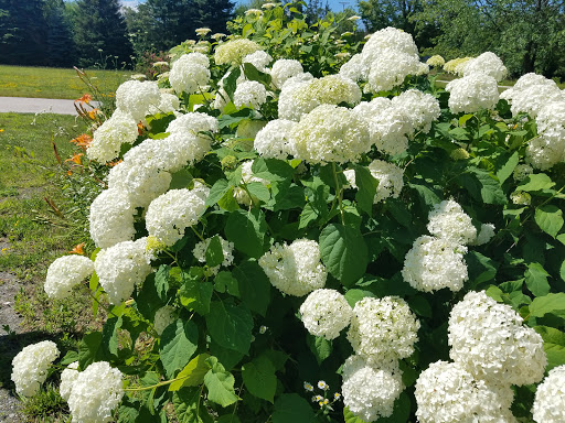Historical Landmark «Smith-Appleby House», reviews and photos, 220 Stillwater Rd, Smithfield, RI 02917, USA