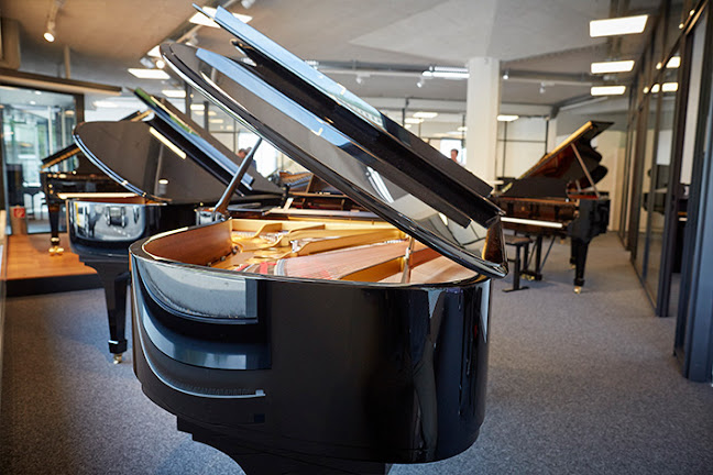 Rezensionen über Steinway Piano Gallery Bern in Bern - Musikgeschäft