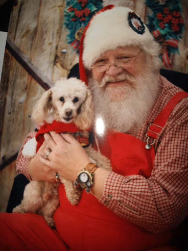 Pet Supply Store «Premier Pet Supply», reviews and photos, 31215 Southfield Rd, Beverly Hills, MI 48025, USA