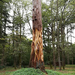 Photo n° 1 de l'avis de Frédérique.u fait le 11/09/2017 à 16:22 pour Château de la Bourdaisière à Montlouis-sur-Loire