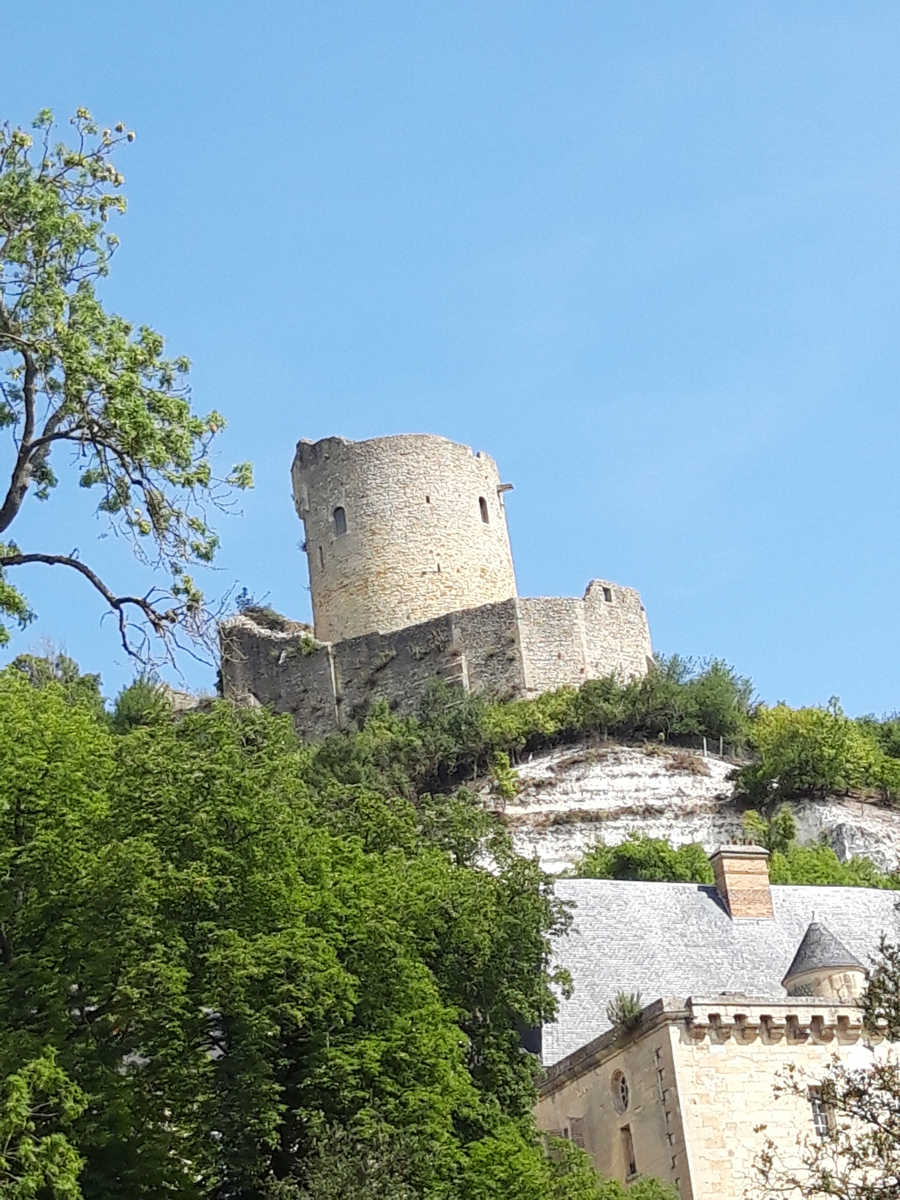 Photo n° 3 de l'avis de Lucy.e fait le 17/07/2022 à 13:06