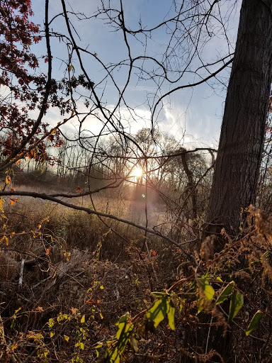 Car Repair and Maintenance «Midas», reviews and photos, 920 Route 46 East, Kenvil, NJ 07847, USA