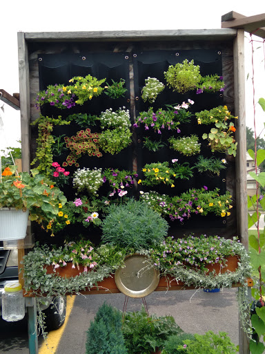 Tobacco Shop «Cheap Tobacco», reviews and photos, 1180 W State St, Alliance, OH 44601, USA