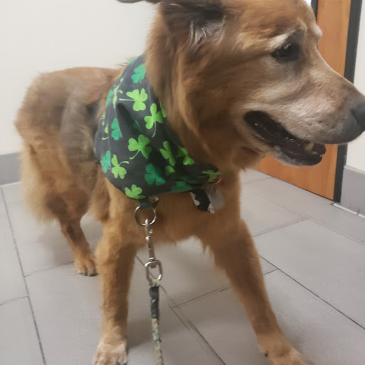 Covina Animal Hospital image
