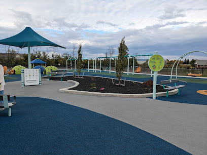 Motion Junction Inclusive Playground