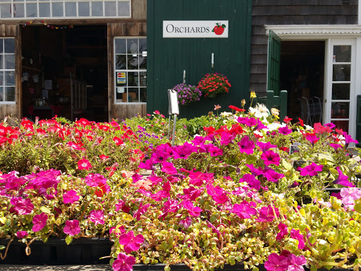 Farm «Russell Orchards», reviews and photos, 143 Argilla Rd, Ipswich, MA 01938, USA