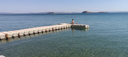 Foto di Altunhan Farm Beach - luogo popolare tra gli intenditori del relax