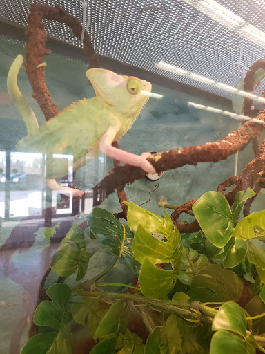 Pet Supply Store «Petco Animal Supplies», reviews and photos, 1601 Market Pl Dr #371, Great Falls, MT 59404, USA