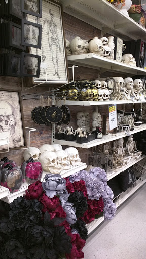 Craft Store «Michaels», reviews and photos, 310 Cbl Dr, St Augustine, FL 32086, USA