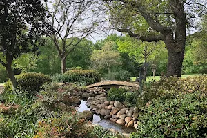 East Texas Arboretum image