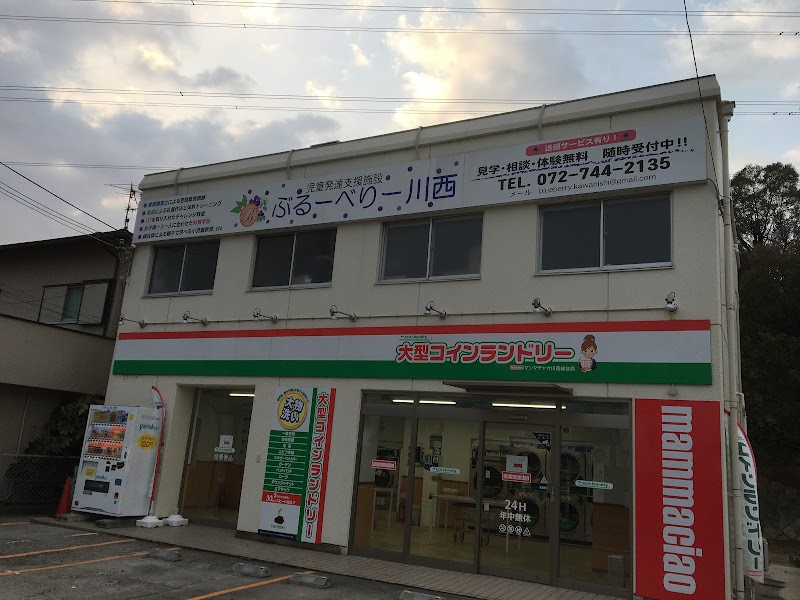 大型コインランドリー マンマチャオ川西緑台店