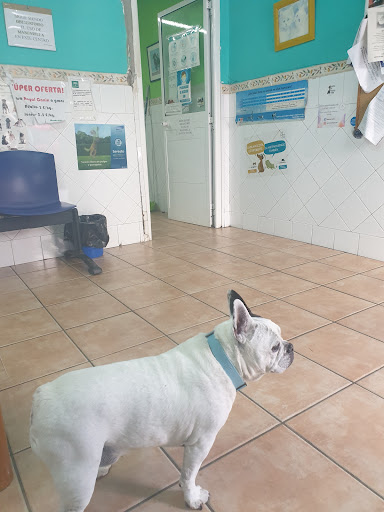 Hospitales y veterinarios de urgencia en La Línea de la Concepción de 2024