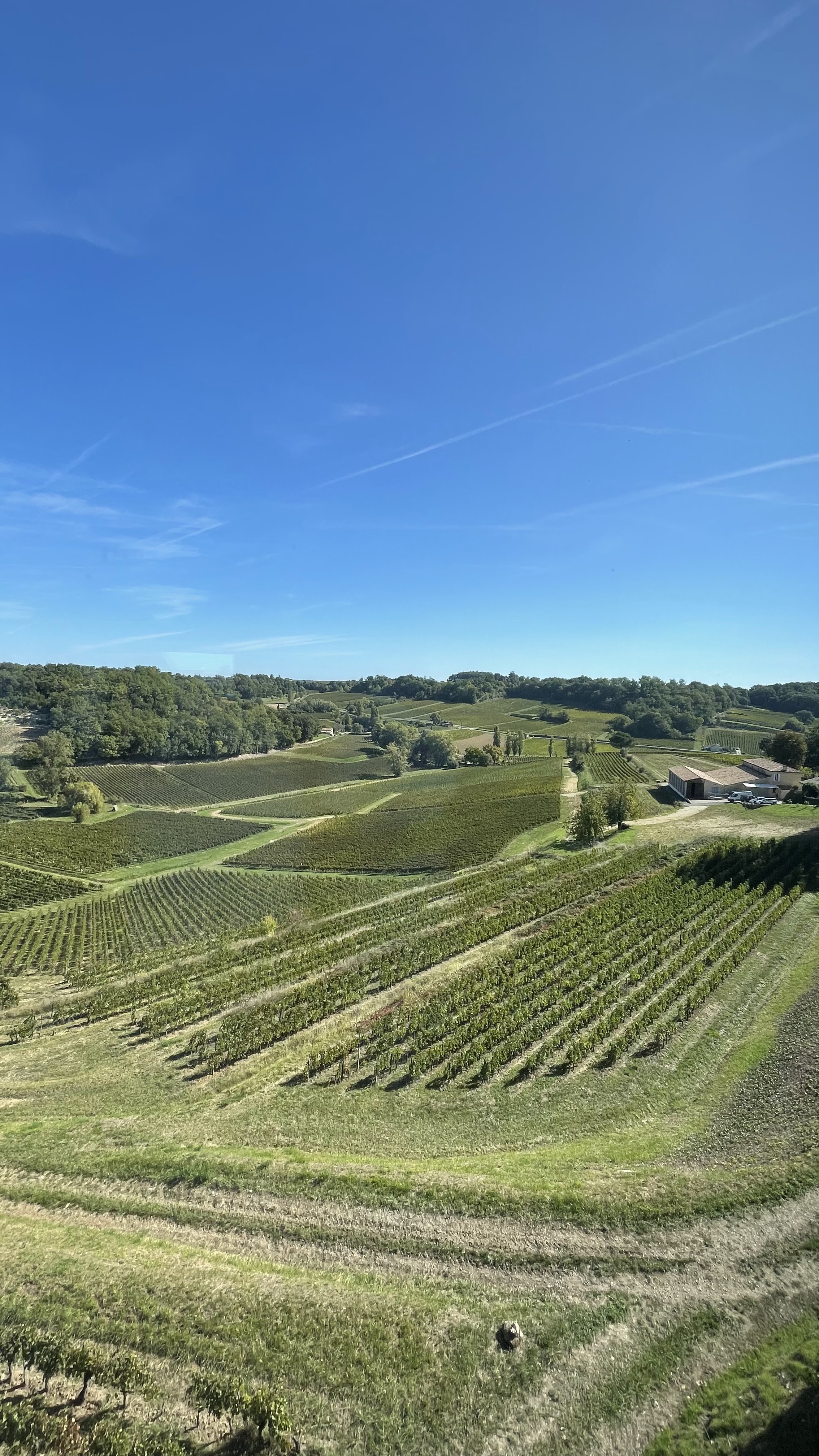 Photo n° 1 de l'avis de Clement.E fait le 23/10/2023 à 07:16