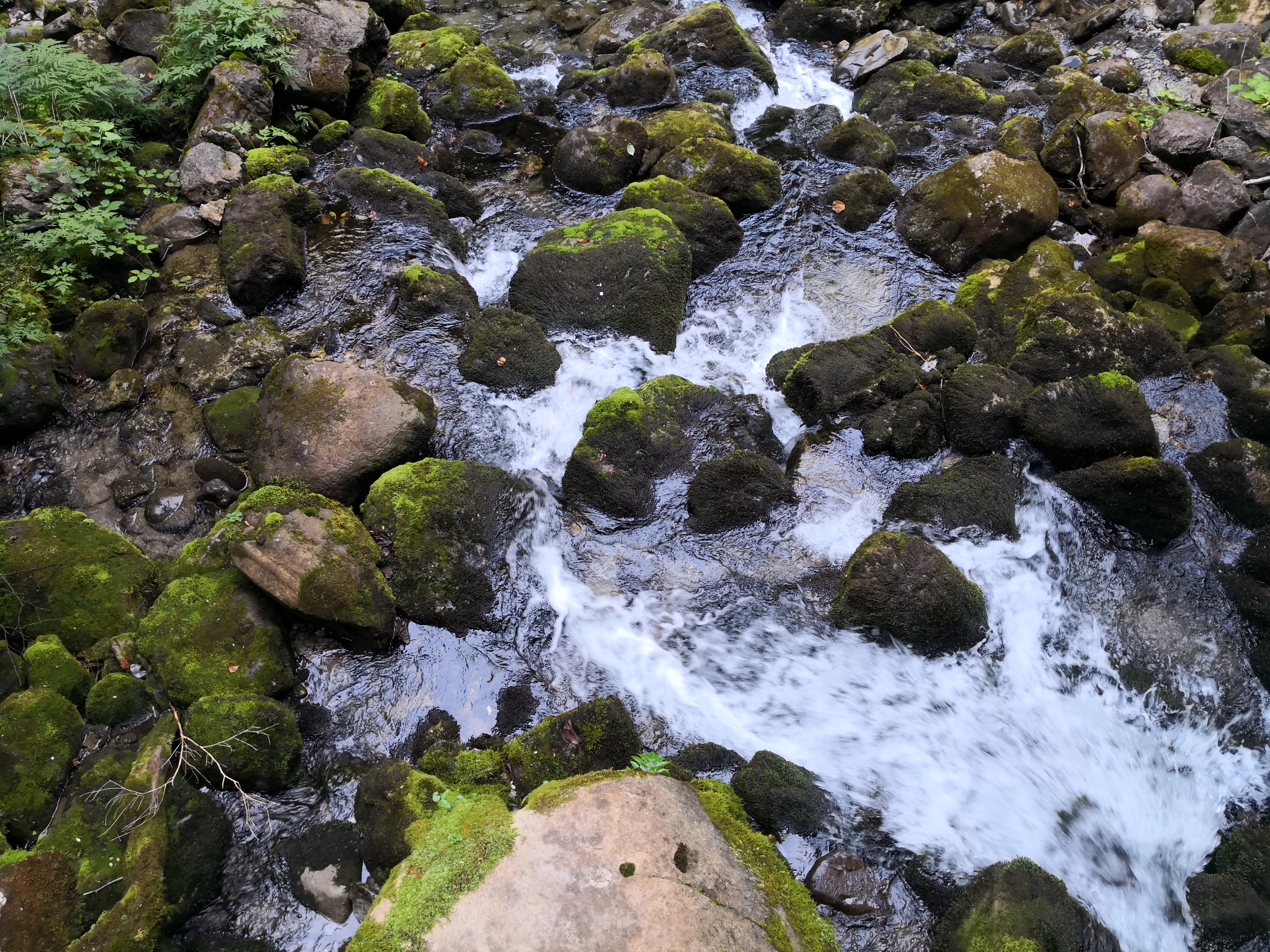 Photo n° 8 de l'avis de bruno.a fait le 28/08/2018 à 09:33