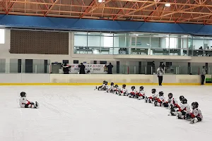 Daegu Indoor Icerink image