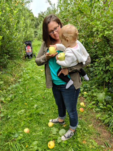 Apple Picking (Soons Orchards) image 10