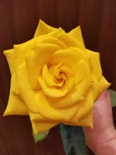 Coffee Shop «Starbucks», reviews and photos, 1741 E Geneva St a, Delavan, WI 53115, USA