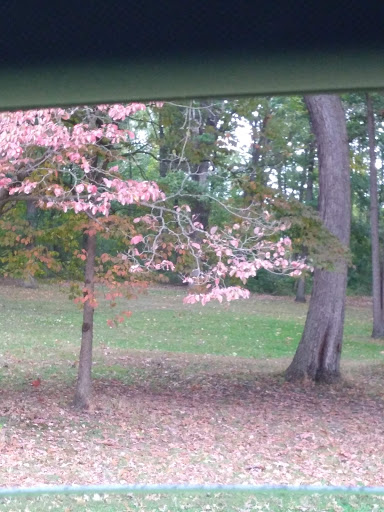 Park «Willow Metropark», reviews and photos, 23200 S Huron Rd, New Boston, MI 48164, USA