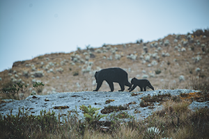 Parque Nacional Natural Chingaza image