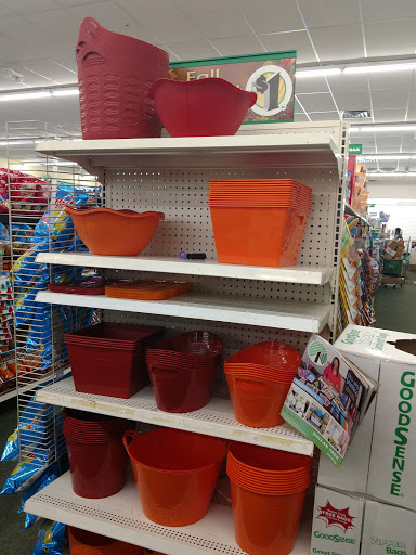 Dollar Store «Dollar Tree», reviews and photos, 2215 S Telegraph Rd, Bloomfield Hills, MI 48302, USA