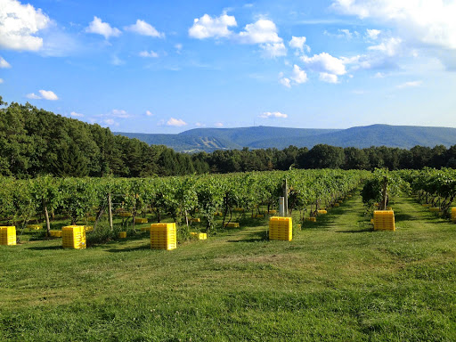 Winery «Mt. Nittany Vineyard and Winery», reviews and photos, 300 Houser Rd, Centre Hall, PA 16828, USA