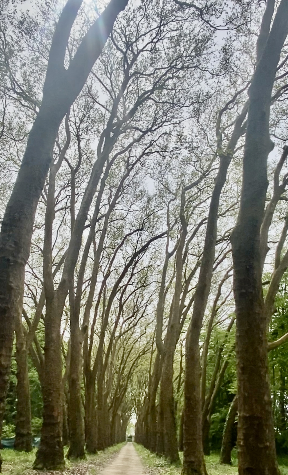 Photo n° 1 de l'avis de irène.u fait le 30/04/2023 à 07:06