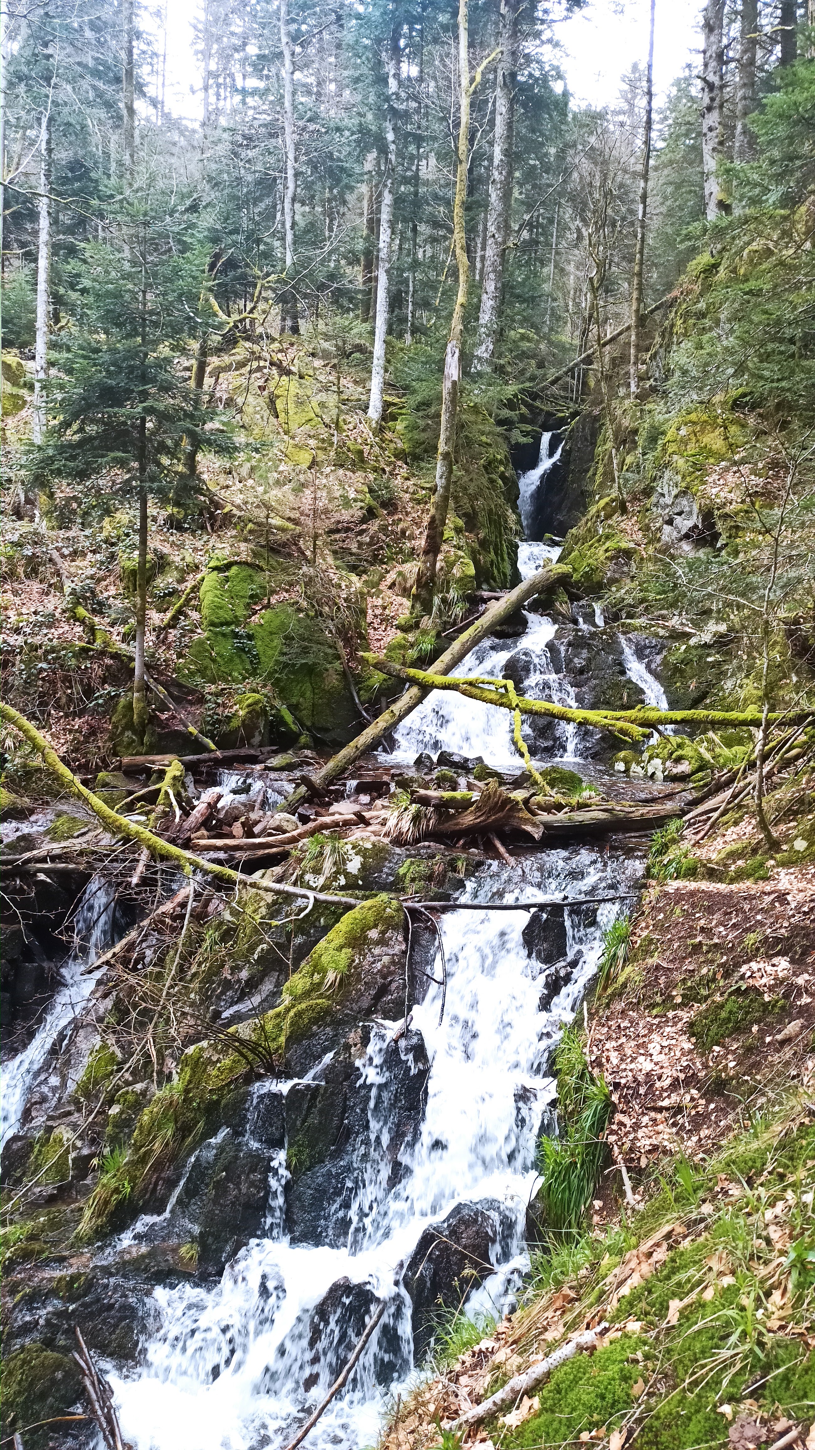 Photo n° 2 de l'avis de Corentin. fait le 30/03/2024 à 17:13