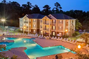 Cayce Cove Apartments image