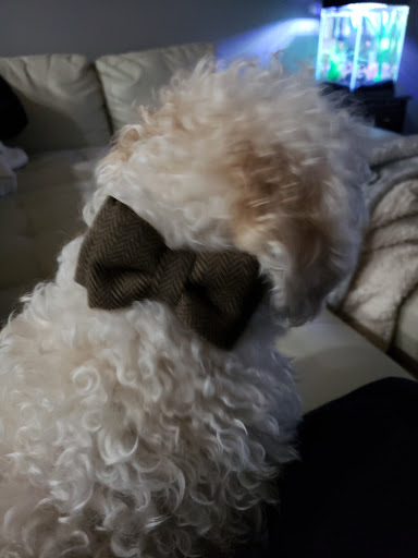 Pet Supply Store «Unleashed by Petco», reviews and photos, 12305 SW Horizon Blvd #23, Beaverton, OR 97007, USA