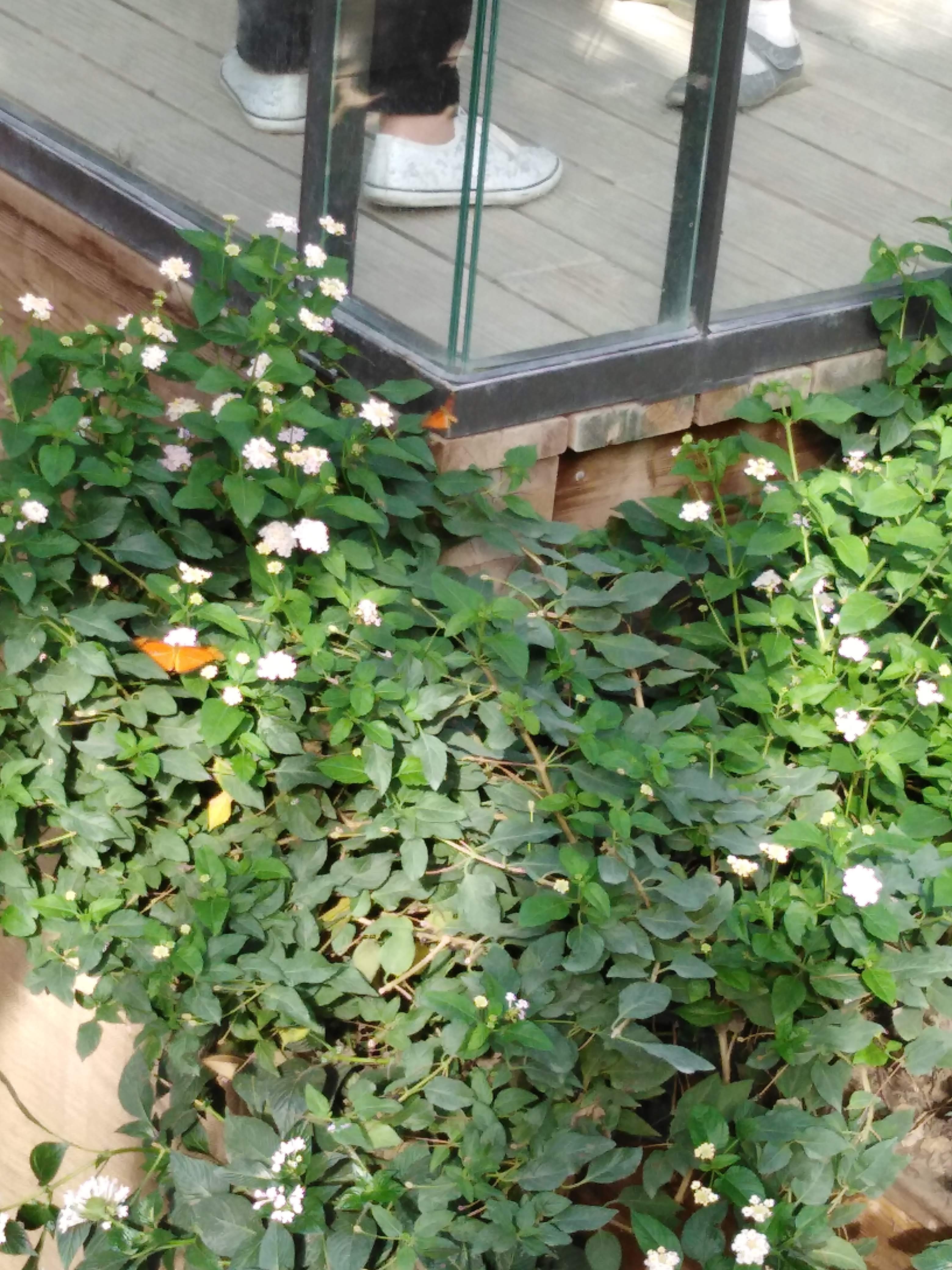 Photo n° 14 de l'avis de Laurent.d fait le 27/09/2019 à 14:02