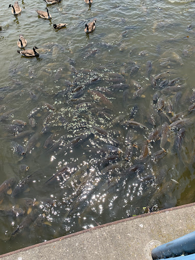 Find best matching tattoo ideas for your next unique tattoo in Erie at Andromeda Studios