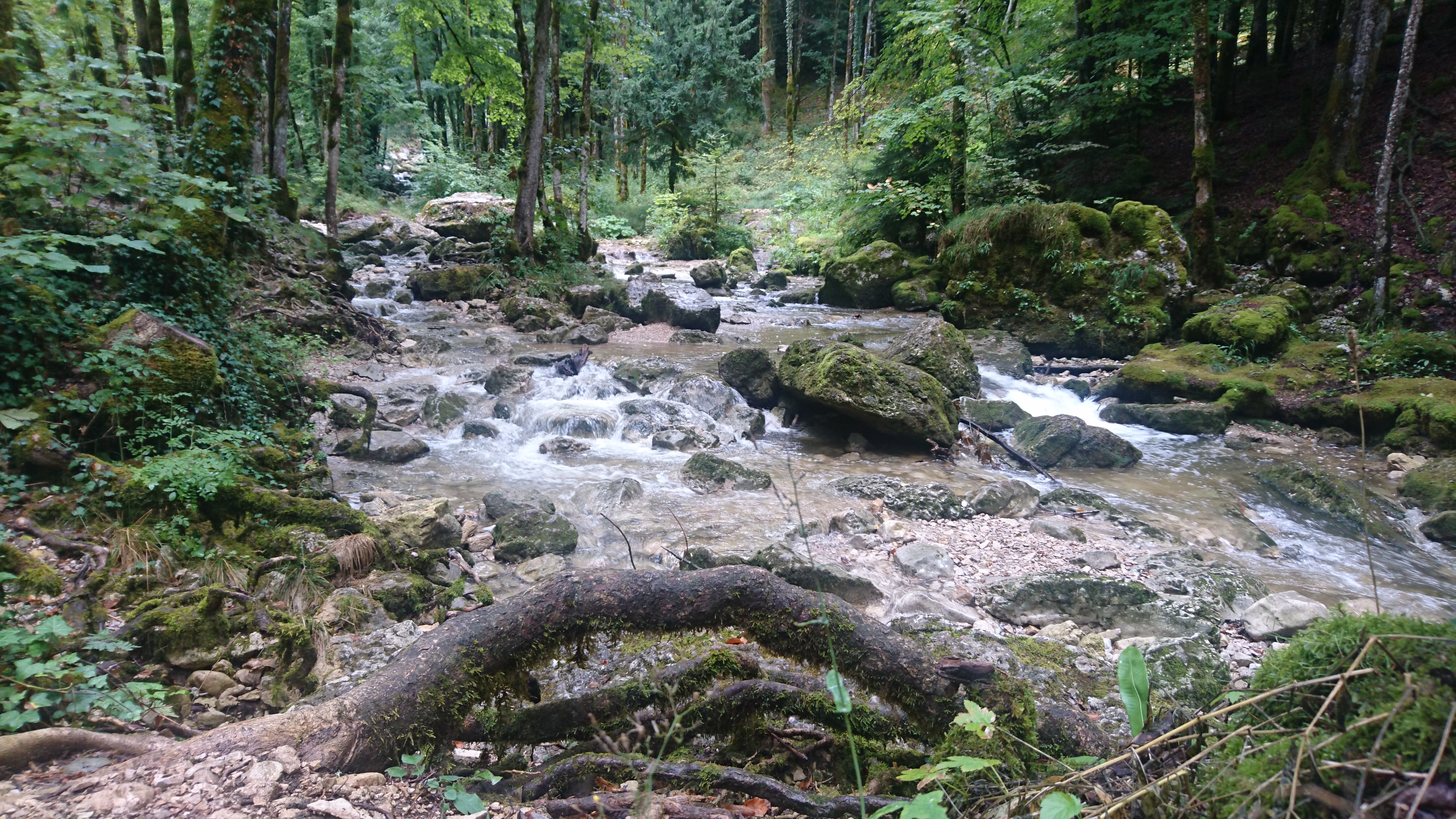 Photo n° 7 de l'avis de Djamel.e fait le 15/08/2018 à 08:18
