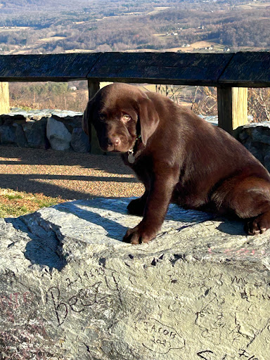 Animal Care Center image