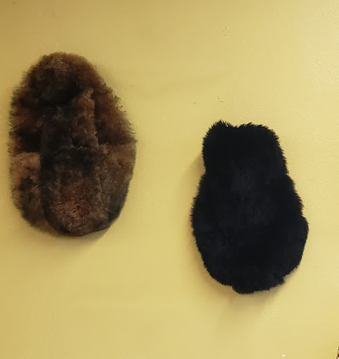 Motor Scooter Dealer «Kiss My Gas Scooters», reviews and photos, 2179 S Campbell Ave, Springfield, MO 65807, USA