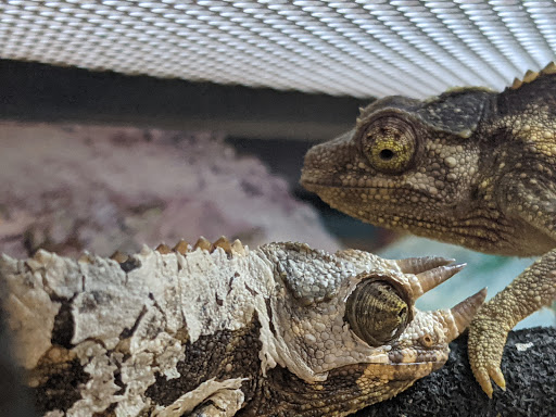 Pet Supply Store «Petco Animal Supplies», reviews and photos, 4915 E 41st St C, Tulsa, OK 74135, USA