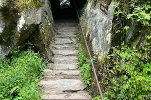 Wishing Steps (Céimeanna ar mian leo) image