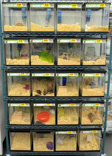 Pet Store «B & B Pet Stop, Inc.», reviews and photos, 5035 Cottage Hill Rd, Mobile, AL 36609, USA