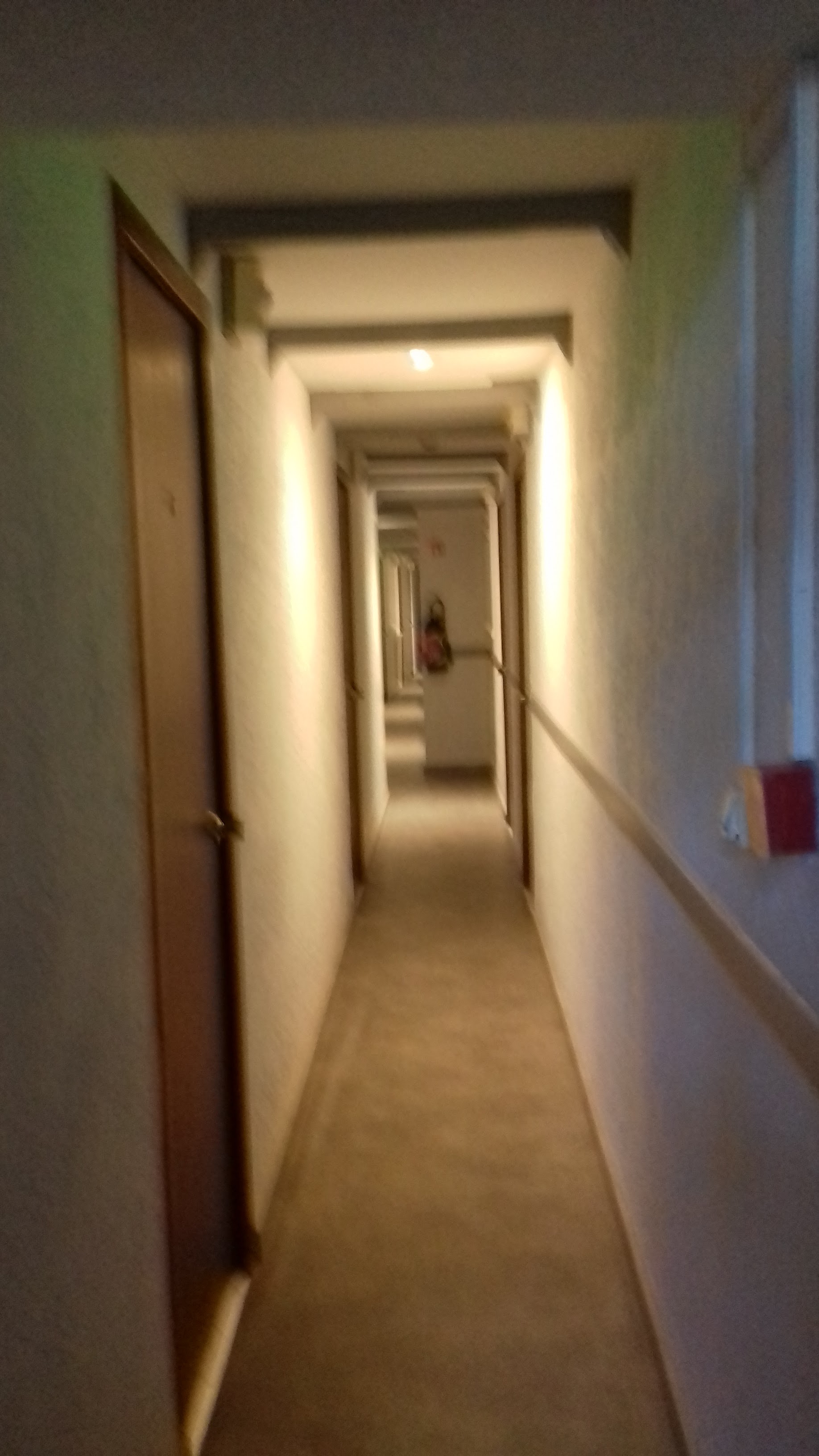 Photo n° 2 de l'avis de Jens10001. fait le 05/09/2019 à 17:09