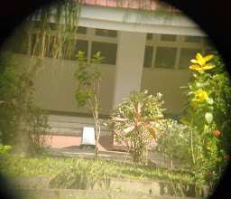 Uncen FH Abepura photo