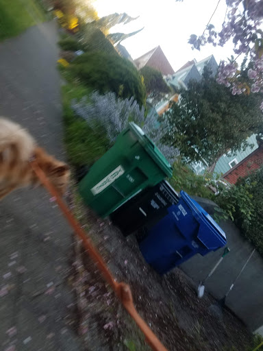 Park «Salmon Bay Park», reviews and photos, 2001 NW Canoe Pl, Seattle, WA 98117, USA