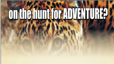 Photos of Tours & Tickets South Africa