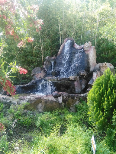 Amusement Center «Lucky Land», reviews and photos, 8625 Airline Dr, Houston, TX 77037, USA