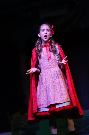 Theater Company «Spark Foundation: Dance, Art, Theater, Music», reviews and photos, 21610 TX-249, Houston, TX 77070, USA