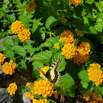 Photo n°1 de l'avis de Claudio.y fait le 27/06/2022 à 09:18 sur le  Turismo Rurale Borgo San Francesco à Gioiosa Marea