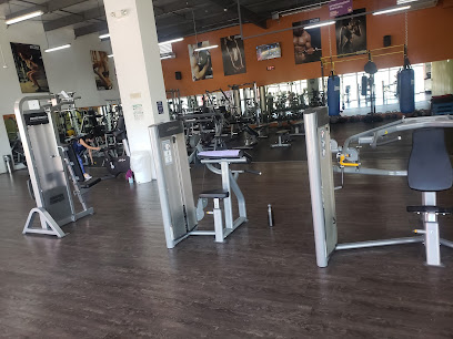 ANYTIME FITNESS SILVER CENTER