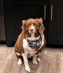 Amarillo Fetch - Photo 6 - Car repair in Amarillo, TX, Amarillo