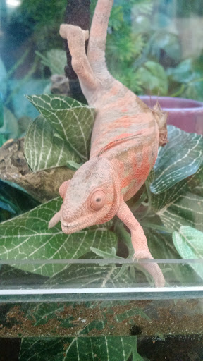 Pet Supply Store «Petco Animal Supplies», reviews and photos, 1169 Valley River Dr, Eugene, OR 97401, USA