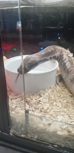 Pet Store «Animal Lovers Pet Shop», reviews and photos, 24028 Vista Montana, Torrance, CA 90505, USA